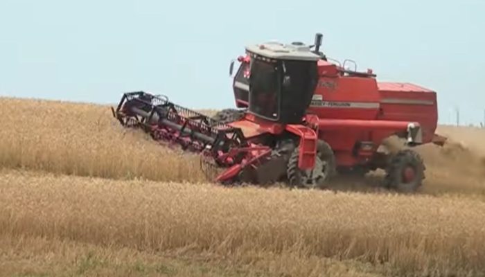 Agronegocio_ecfd41ebbe