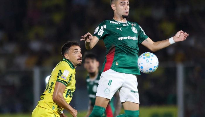 Palmeiras01_2_34210c27f0