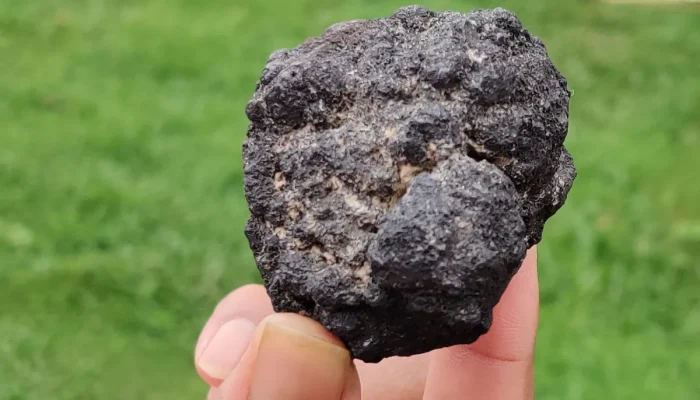 Polymetallic-nodules