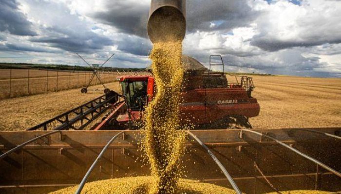 agricultura_20f6061340