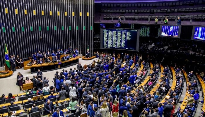 plenario-camara-dos-deputados-foto-douglas-gomes-31-01-2025