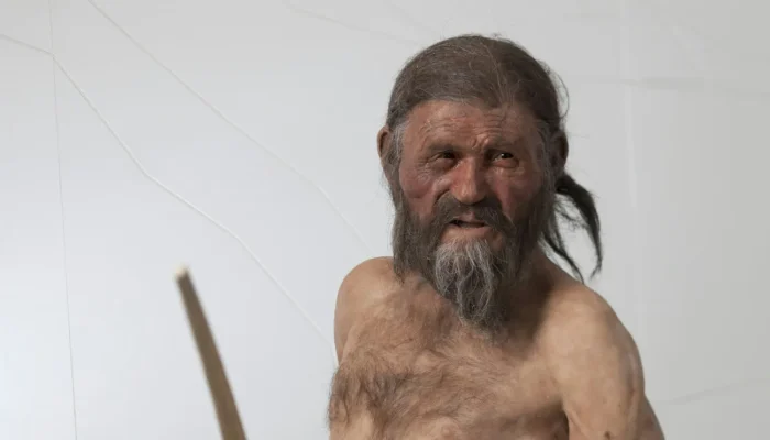 Reconstrução de : Otzi . Eurac Research/ Andrea De Giovanni