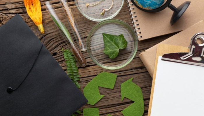 top-view-plants-study-items